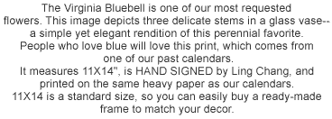 Virginia Bluebells Print description
