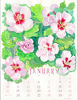 January - Lilac
