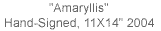 "Amaryllis" Hand-Signed, 11X14"